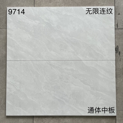 Durable 600*1200mm Ceramic Wall Cladding Tiles Indoor Outdoor Home Building Materials